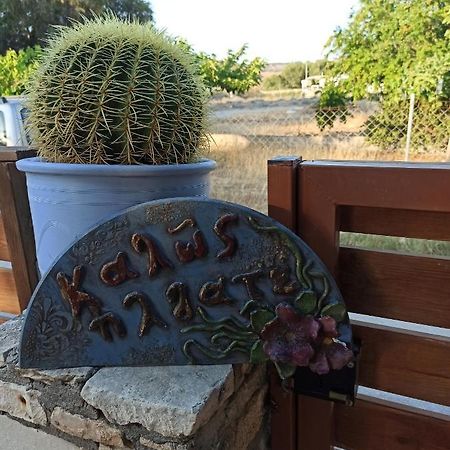 Cactus Home คาลามากิ ภายนอก รูปภาพ
