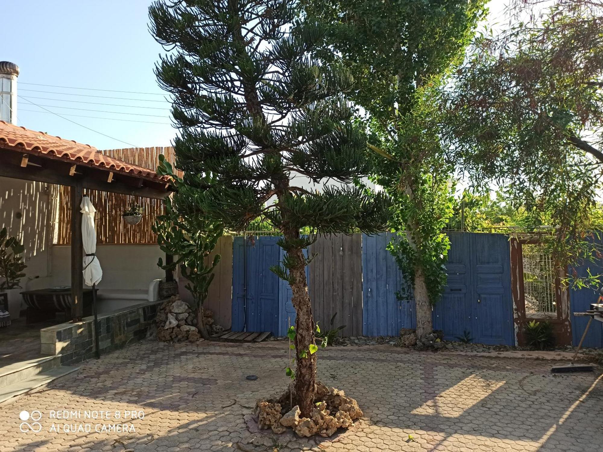 Cactus Home คาลามากิ ภายนอก รูปภาพ