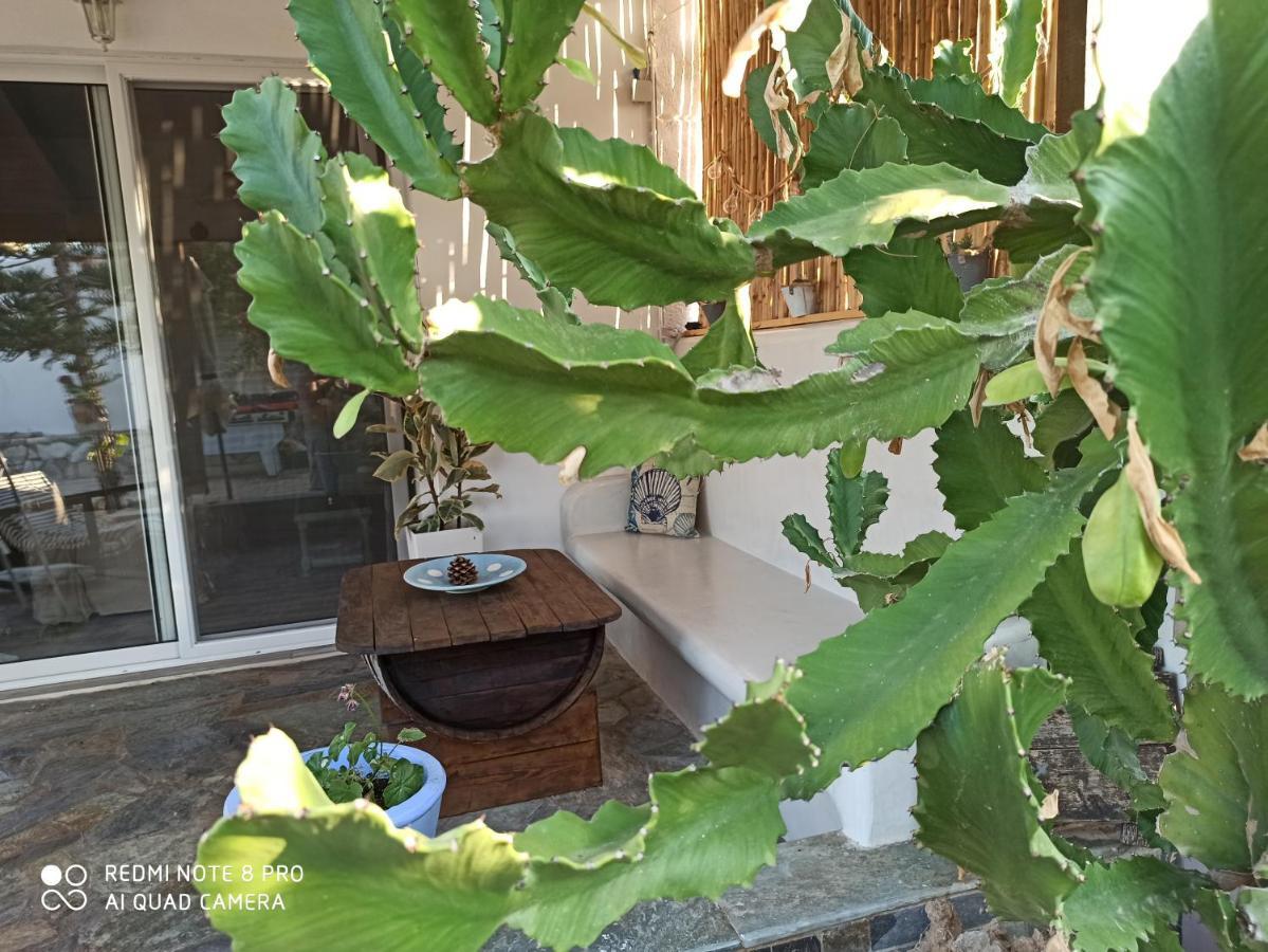 Cactus Home คาลามากิ ภายนอก รูปภาพ